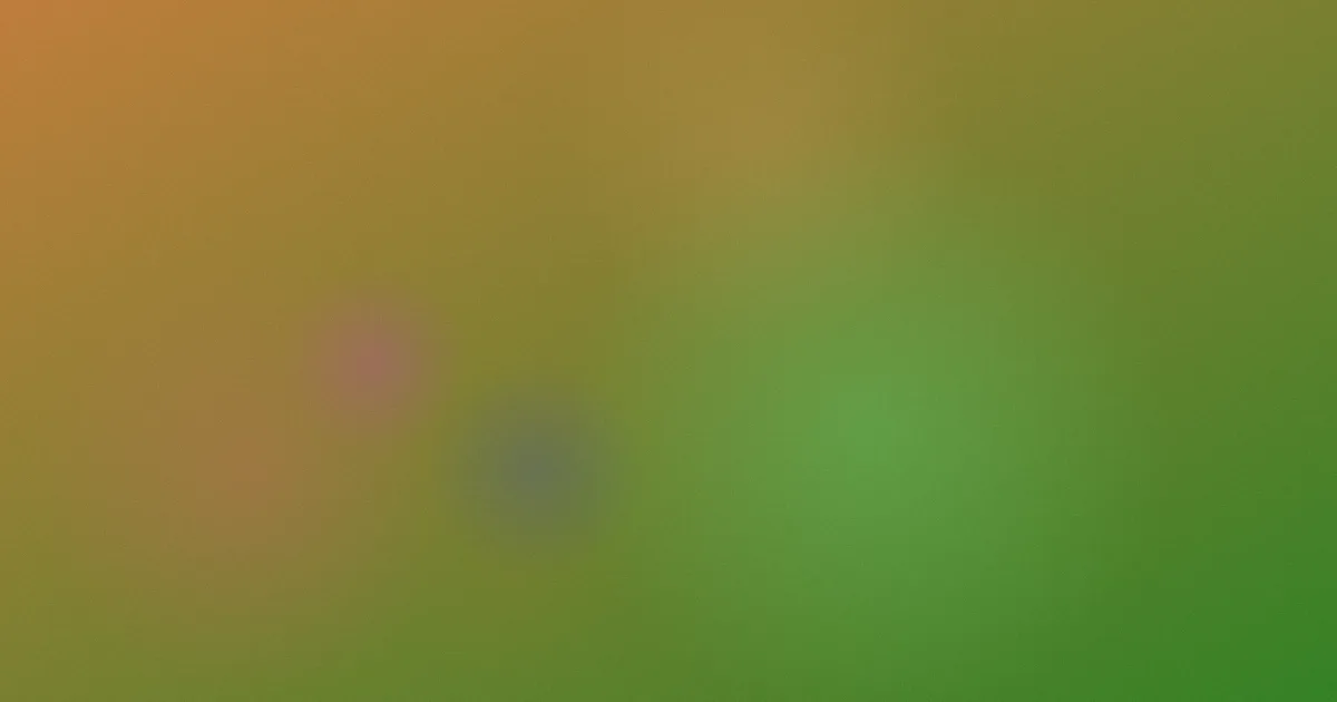 张翰攻略：作品怎么选不踩空